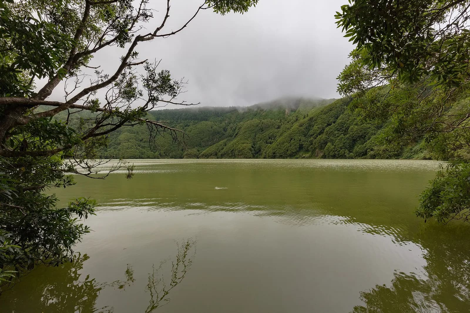 Photo: Diego Delso, CC BY-SA 4.0 The crater lake at Sete Cidades, Sao Miguel, Azores