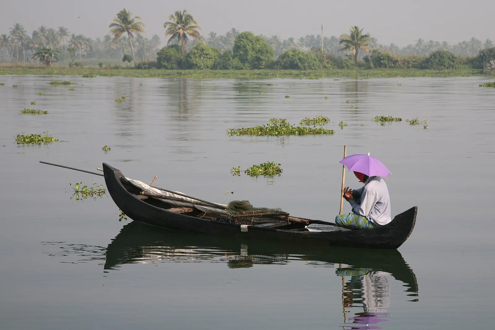 Kerala backwaters, India