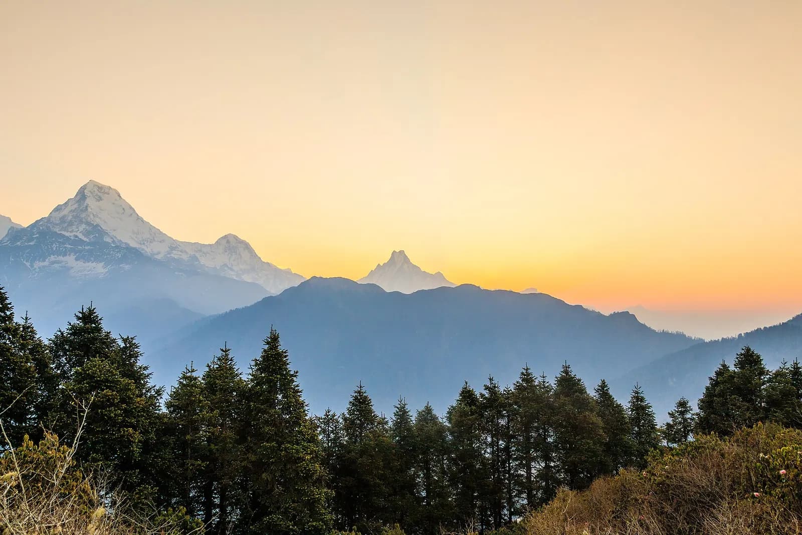 Photo: Bijay Chaurasia, CC BY-SA 4.0 Annapurna, Nepal