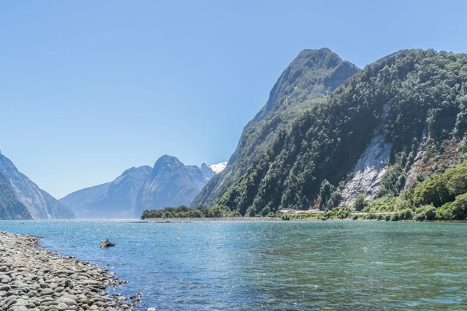 Photo: Krzysztof Golik, CC BY-SA 4.0 Milford Sound in Fiordland National Park, New Zealand