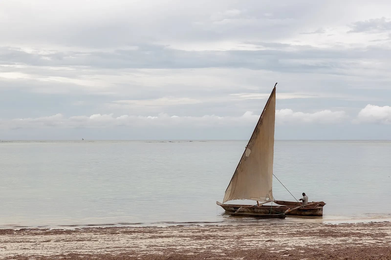 Photo: This photo was taken by Anton Zelenov.
Please credit this with : Photo : Anton Z, CC BY-SA 3.0 A dhow on the beach, Zanzibar