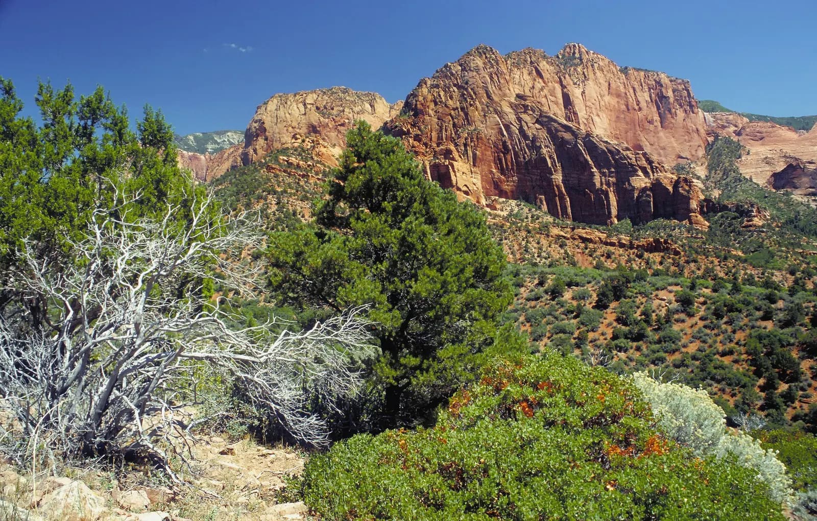 Photo: Michael Gäbler, CC BY 3.0 Zion Canyon, United States