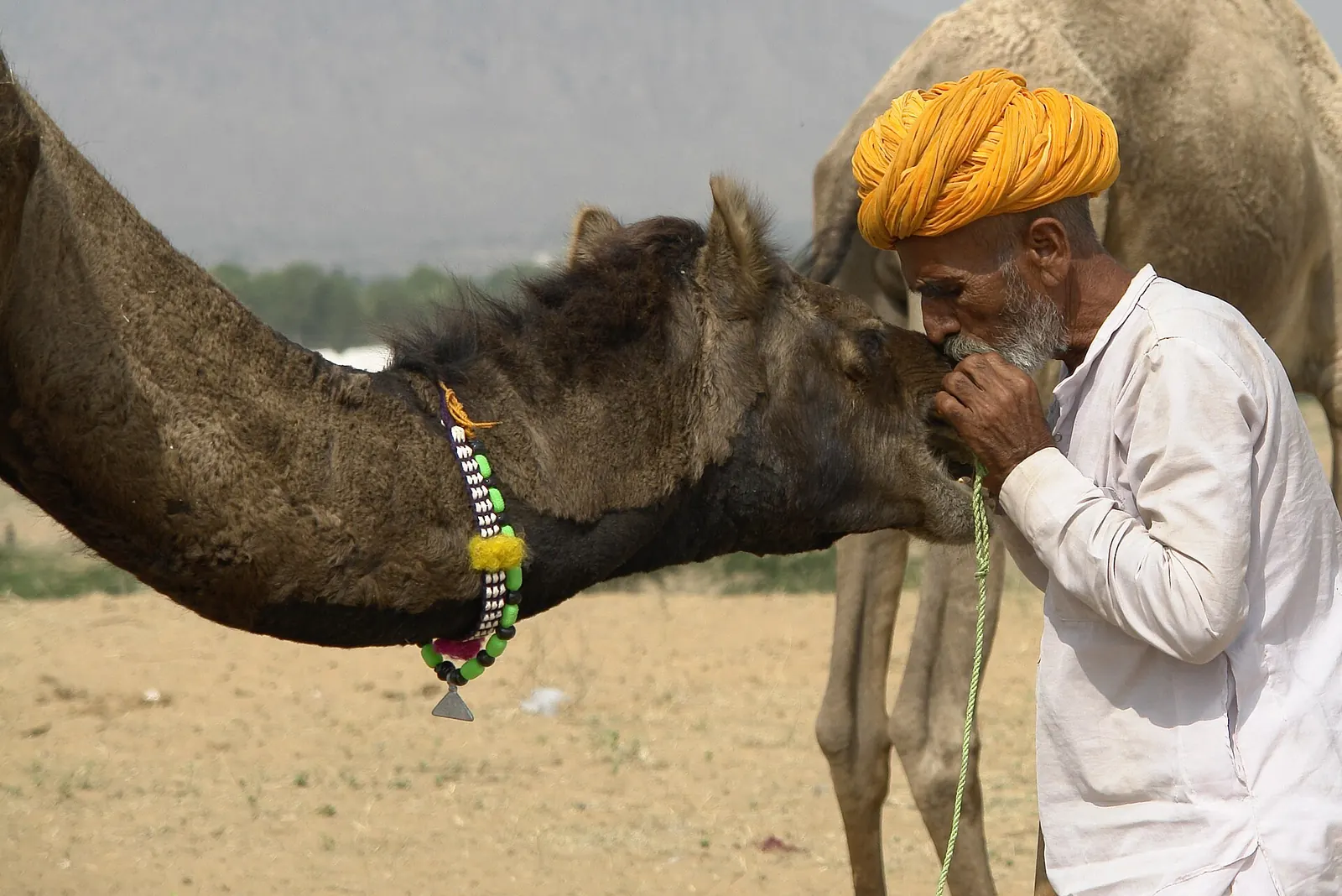 Photo: Marina & Enrique, CC BY 2.0 Pushkar Camel Fair (Pushkar Mela), Pushkar, Rajasthan, India
