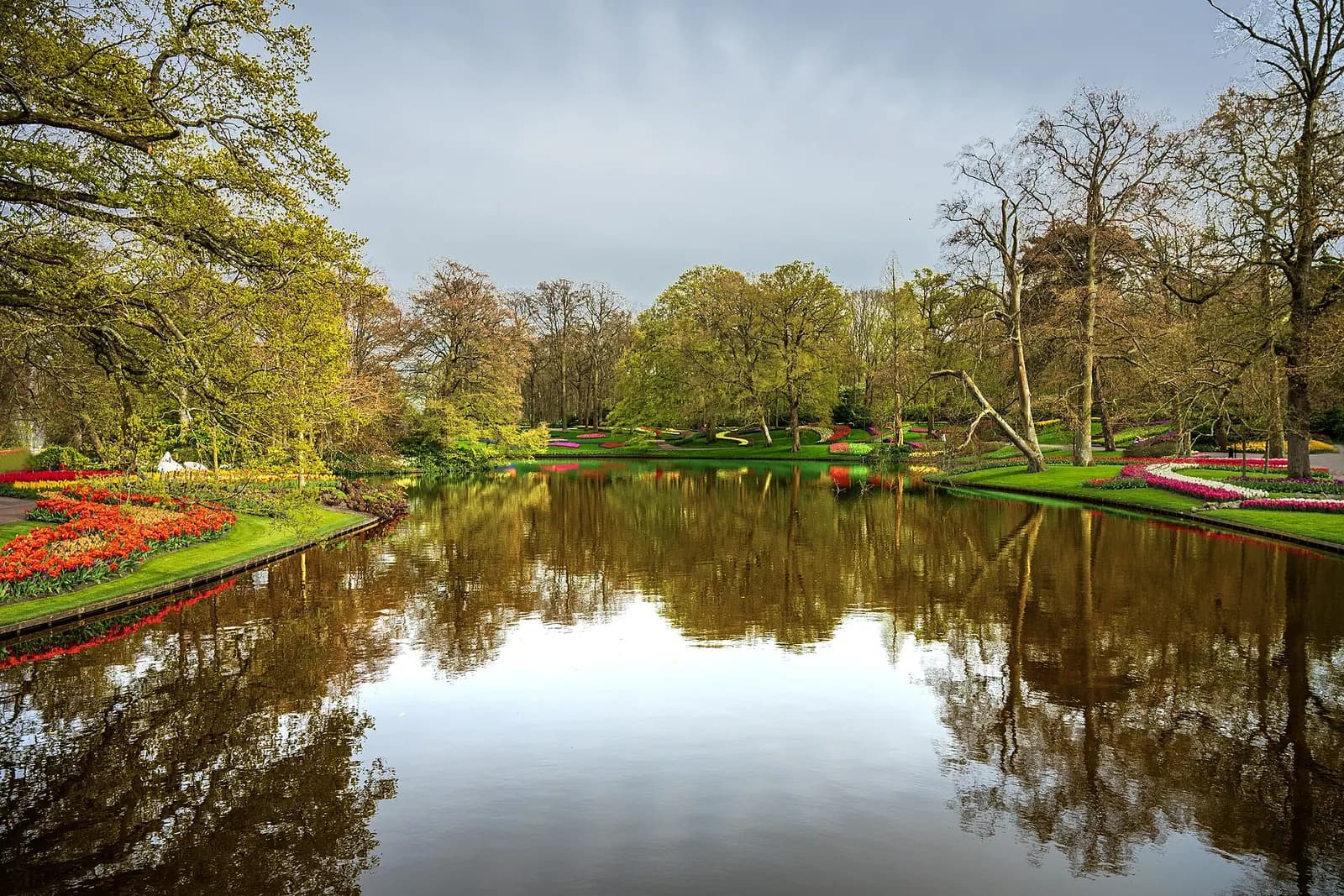 Photo: Urdulife, CC BY-SA 4.0 Tulip Season in the Netherlands, Lisse & Amsterdam, Netherlands