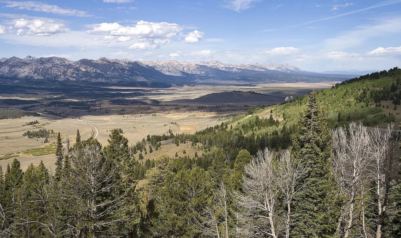 Photo: Acroterion, CC BY-SA 4.0 Sawtooth National Recreation Area, Idaho
