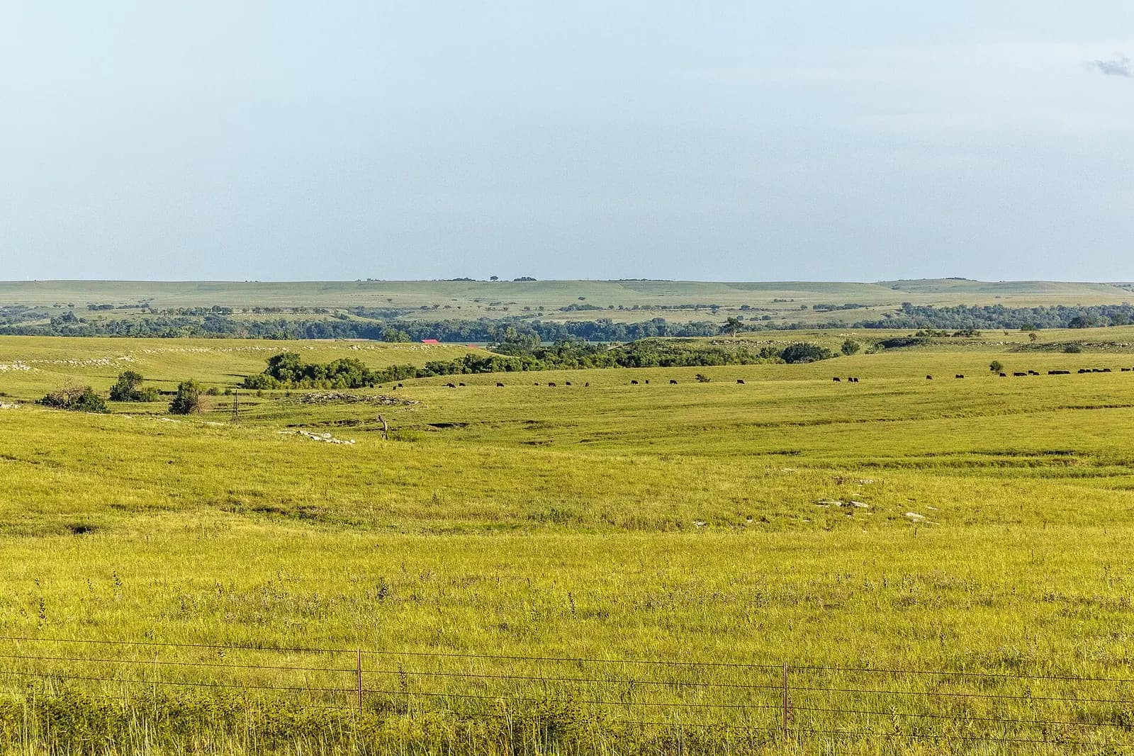 Photo: Larry Mills, CC BY 2.0 Flint Hills, Kansas