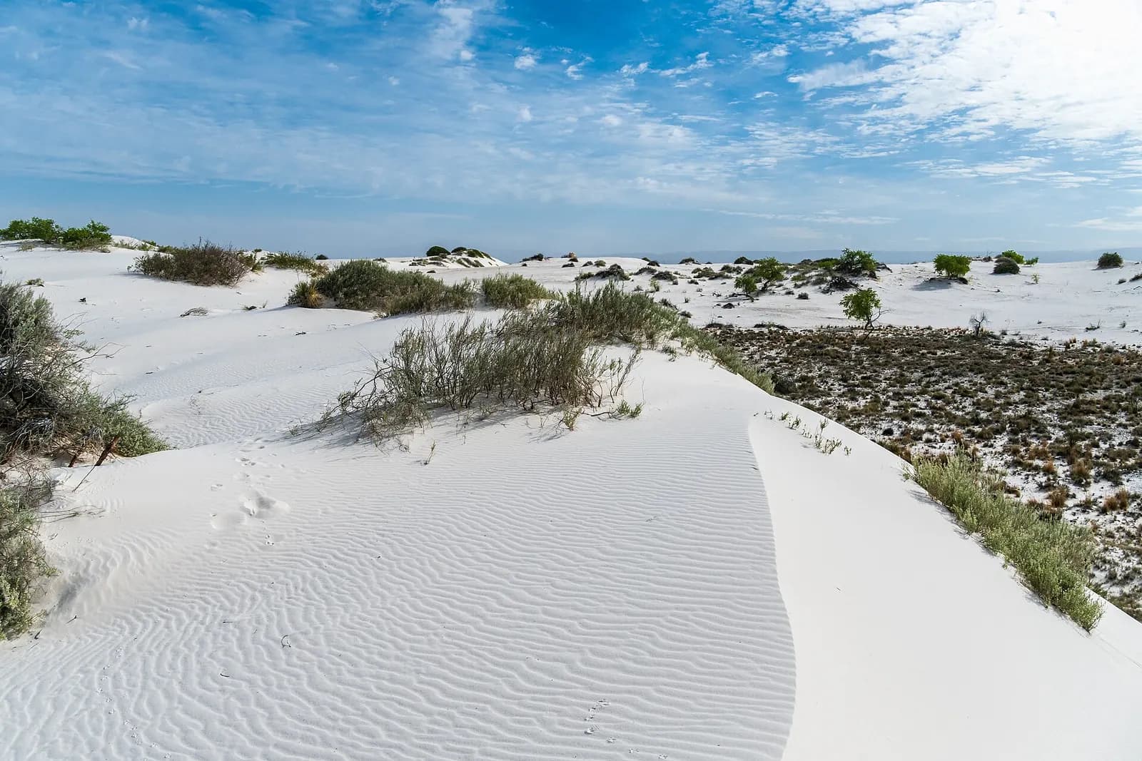Photo: dconvertini, CC BY-SA 2.0 White Sands dunes, New Mexico