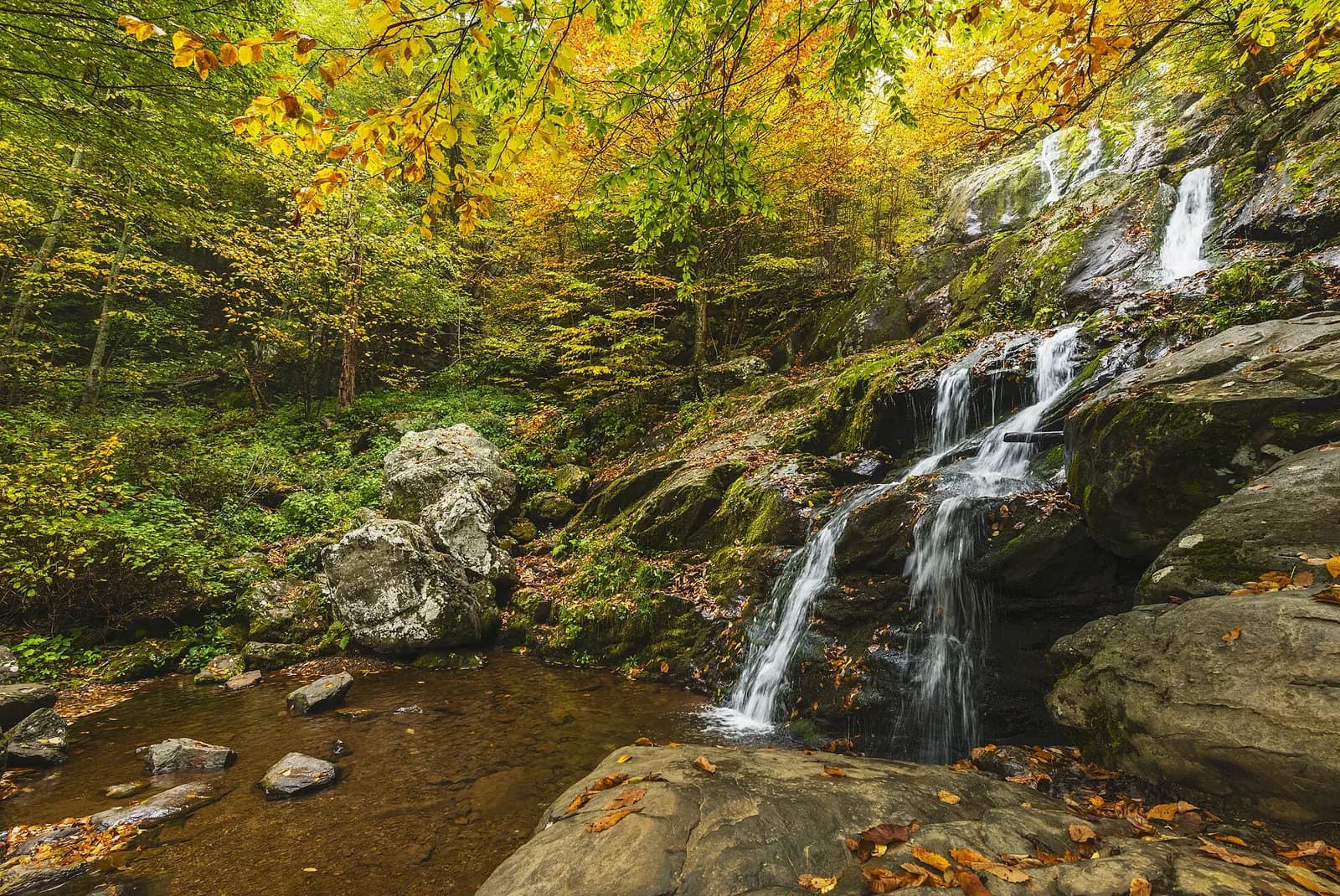 Photo: Shenandoah National Park from Virginia, Public domain Shenandoah National Park, Virginia
